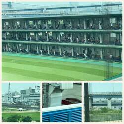 Golf, baseball, and other favorite sports