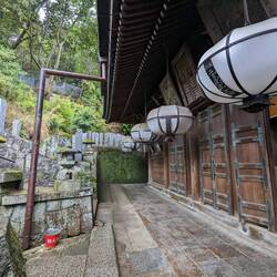 Kasuga-taisha et les lanternes en toile