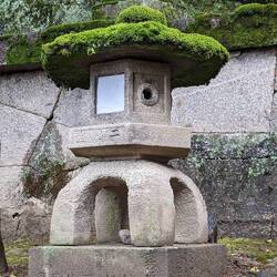 Une lanterne recouverte de mousse