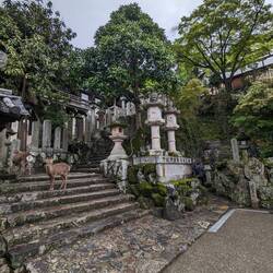 Kasuga-taisha et les lanternes en pierre