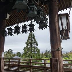 Kasuga-taisha et les lanternes en métal