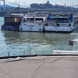 Lots of cruise boats