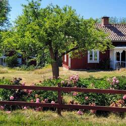 Die typischen schwedischen Häuser mit Garten
