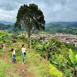 Sur les hauteurs de Jardín