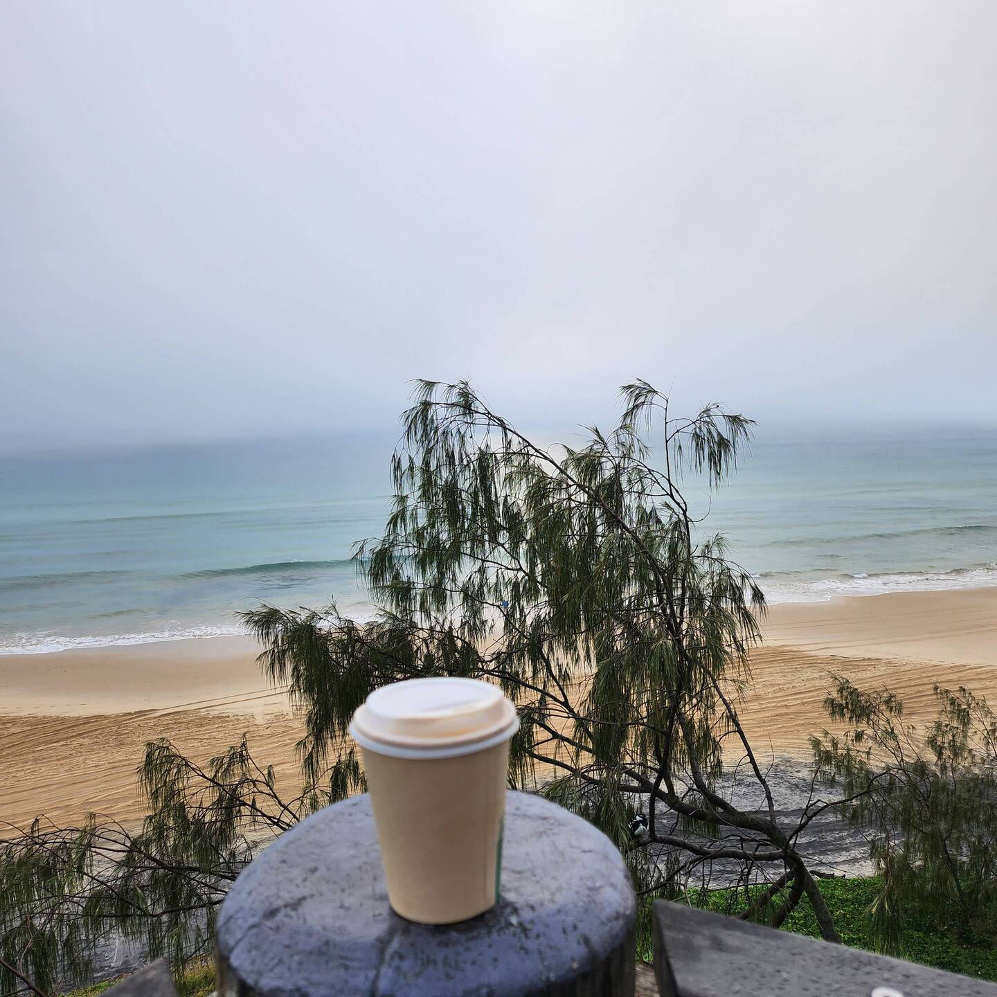 Foggy early morning start at Rainbow Beach waiting for bus