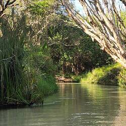 Eli Creek fresh water