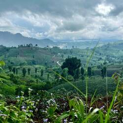 Gewitter im Mini-Loop