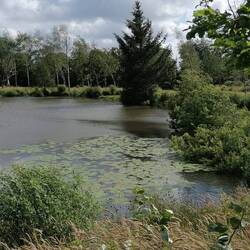 ein Weiher beim Campingplatz