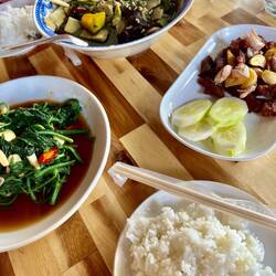 One last Bamboo Soup
