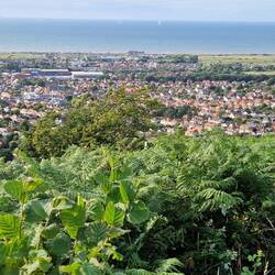 Another view of Prestatyn from Tan-yr'-Allt.