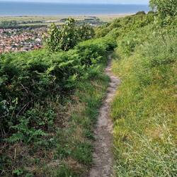 Narrow cliff top path on Tan-yr'-Allt