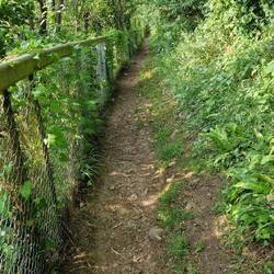 Footpath down from Tan-yr'-Allt