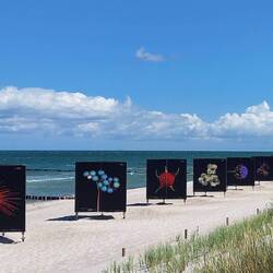 "Überreste" der Fotoausstellung