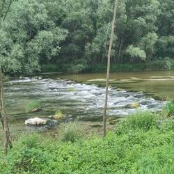 Der Fluss dem ich folge und der sich durchs Tal schlängelt.