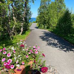 Am Strand von Sørvika