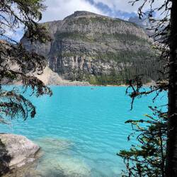 Moraine Lake - and yes, it is blue like this