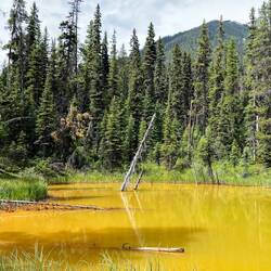 ... to the cold mineral springs creating the color