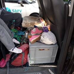 Last eure Kinder nicht dass Auto packen. Die wollen alles griffbereit haben.
