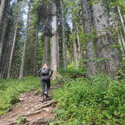Aufstieg zum ersten Gipfel (Viševnik)