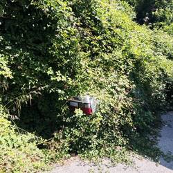 Parkt wohl schon länger hier 🤔