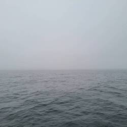 Not much to see in Johnstone Strait