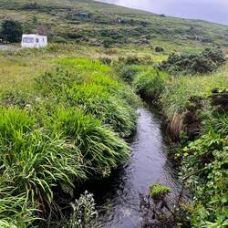 A little stream by the ocean