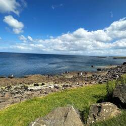 Part of the rocky shore that contains the fossils