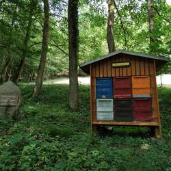 Kleines Bienenhaus