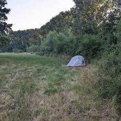 1k Mücken pro Meter