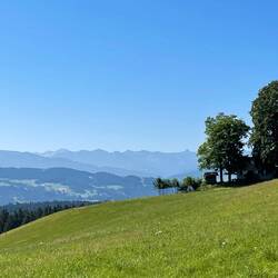 Höhenweg Scheidegg