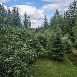 Blick vom Aussichtspunkt