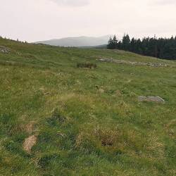 Der Regen erwischt uns gerade jetzt