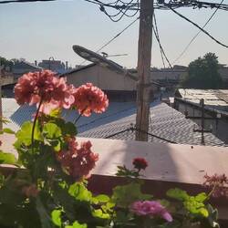 Über den Dächern von Samarkand