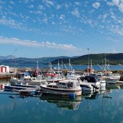 mit schöner Aussicht auf das Fjord und sie Berge 🗻