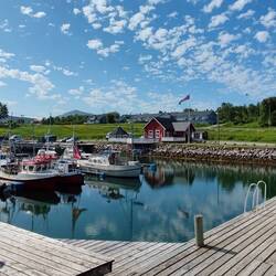 Spazieren nur mit Helm, die Möwen greifen an🤣