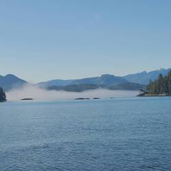 Mist up ahead in Johnstone Strait