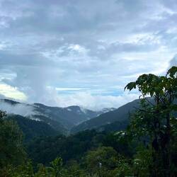 Da gsehdmer gued wie langsam de Näbel duruf ziehd
