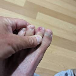 I have named it Clyde