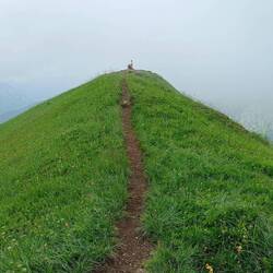 Kurz vor dem Talijanka Gipfel