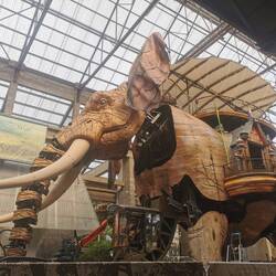 Der Elefant von Nantes, leider war ich zu spät um auf ihm zu reiten