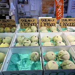 YES, a good cantaloupe is $45 EACH