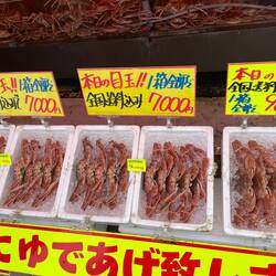 FISH of every type everywhere