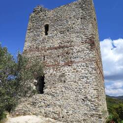 Tower of Apollonia