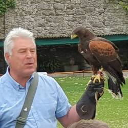 Und es gibt den gerzöglichen Falkner
