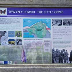 Little Orme information board
