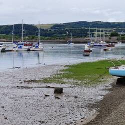 Conwy harbour