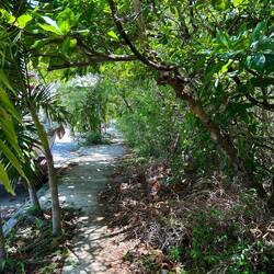 shady walkway for people 1,50m high