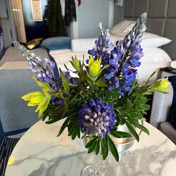 Couldn't resist picking some