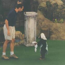 Cheeta aus dem Film "Tarzan"