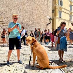 Unser Fotosujet wurde ruckzuck auch anderen ihr Fotomotiv 😍